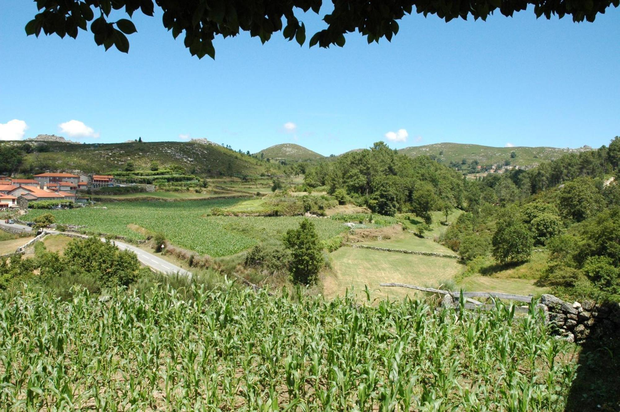 Penzion Casa De Campo Monte Abades Terras de Bouro Exteriér fotografie